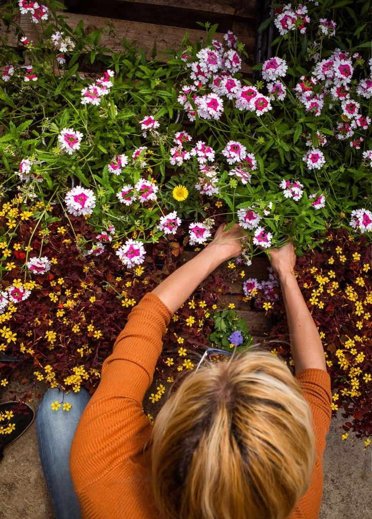 Puutarhan suunnittelu, miten suunnitella? 